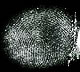 Fingerprint example 1