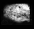 The very first fingerprint in the world detected by laser